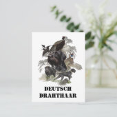 German Wirehaire Pointer Briefkaart (Staand voorkant)