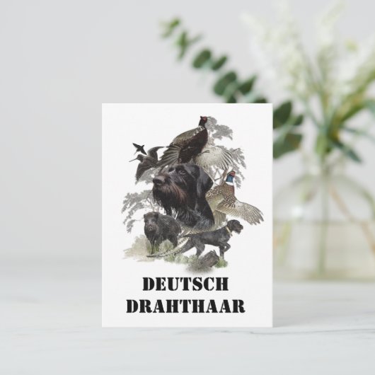 German Wirehaire Pointer Briefkaart (Staand voorkant)