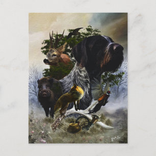 German Wirehaire Pointer Briefkaart