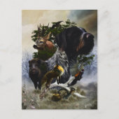 German Wirehaire Pointer Briefkaart (Voorkant)