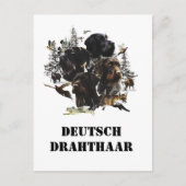 German Wirehaire Pointer Briefkaart (Voorkant)