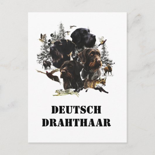 German Wirehaire Pointer Briefkaart (Voorkant)