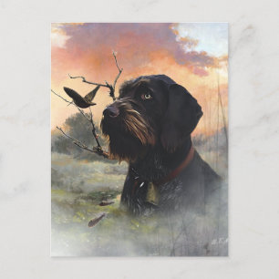 German Wirehaire Pointer Briefkaart