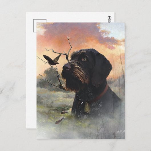 German Wirehaire Pointer Briefkaart (Voorkant / Achterkant)