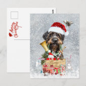 German Wirehaire Pointer Briefkaart (Voorkant / Achterkant)