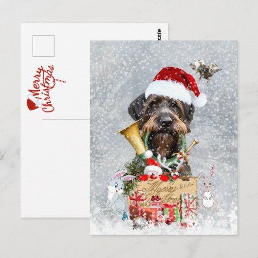 German Wirehaire Pointer Briefkaart (Voorkant / Achterkant)