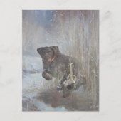 German Wirehaire Pointer Briefkaart (Voorkant)