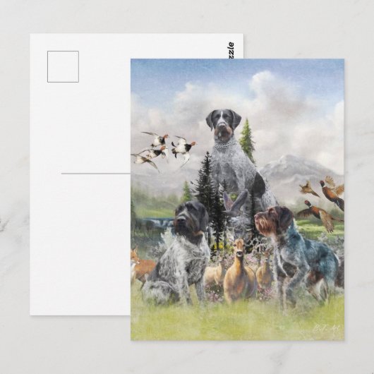 German Wirehaire Pointer Briefkaart (Voorkant / Achterkant)