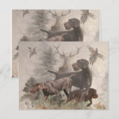 German Wirehaire Pointer Briefkaart (Voorkant / Achterkant)