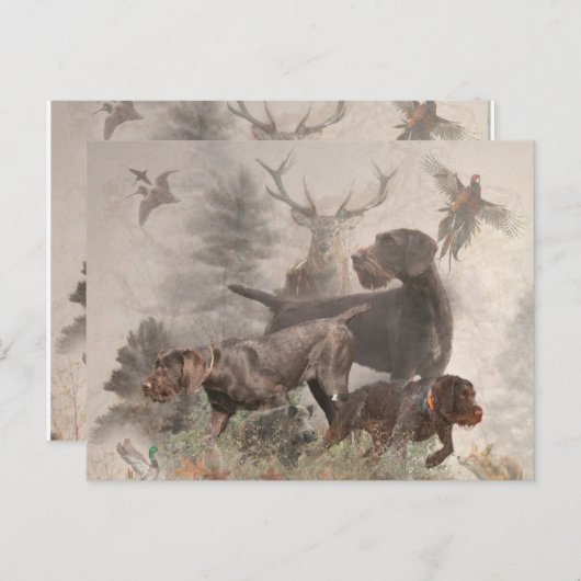 German Wirehaire Pointer Briefkaart (Voorkant / Achterkant)