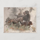 German Wirehaire Pointer Briefkaart (Achterkant)