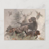 German Wirehaire Pointer Briefkaart (Voorkant)