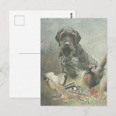 German Wirehaire Pointer Briefkaart (Voorkant / Achterkant)