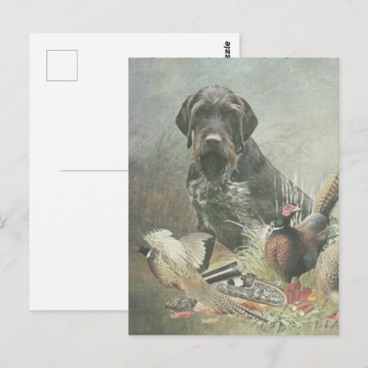 German Wirehaire Pointer Briefkaart (Voorkant / Achterkant)