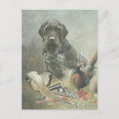 German Wirehaire Pointer Briefkaart (Voorkant)