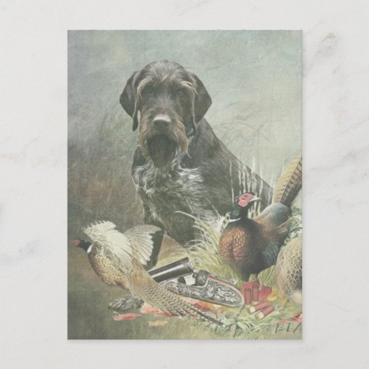 German Wirehaire Pointer Briefkaart (Voorkant)