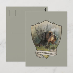 German Wirehaire Pointer Briefkaart
