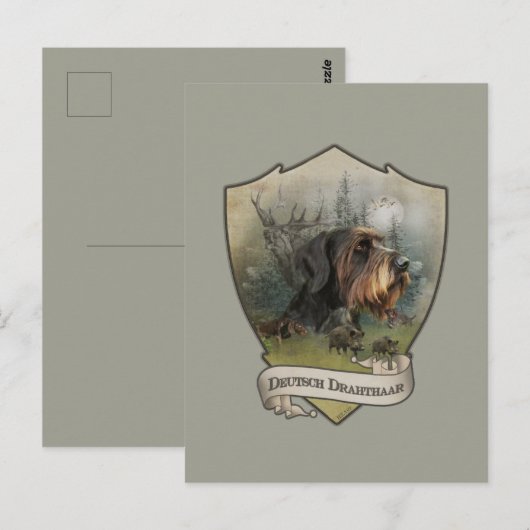 German Wirehaire Pointer Briefkaart (Voorkant / Achterkant)