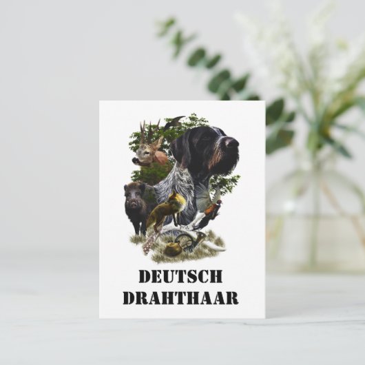 German Wirehaire Pointer Briefkaart (Staand voorkant)