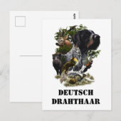 German Wirehaire Pointer Briefkaart (Voorkant / Achterkant)