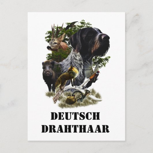 German Wirehaire Pointer Briefkaart (Voorkant)