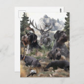 German Wirehaire Pointer Briefkaart (Voorkant / Achterkant)