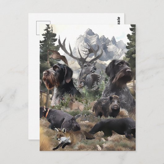 German Wirehaire Pointer Briefkaart (Voorkant / Achterkant)