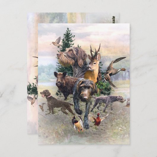 German Wirehaire Pointer Briefkaart (Voorkant / Achterkant)