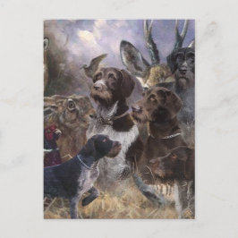 German Wirehaire Pointer Briefkaart