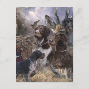 German Wirehaire Pointer Briefkaart