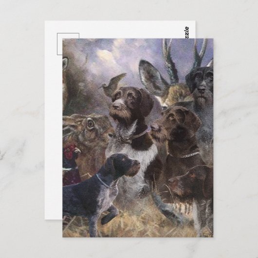 German Wirehaire Pointer Briefkaart (Voorkant / Achterkant)