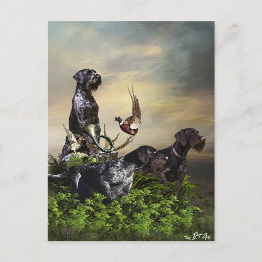 German Wirehaire Pointer Briefkaart (Voorkant)