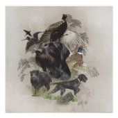 German Wirehaire Pointer , Continental pointo Perfect Poster (Voorkant)