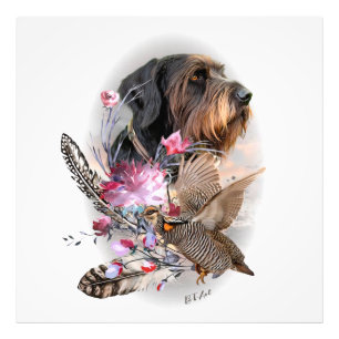 German Wirehaire Pointer Foto Afdruk