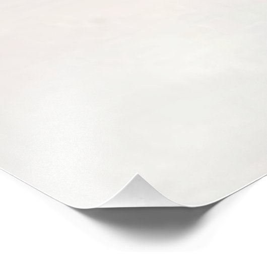 German Wirehaire Pointer Foto Afdruk (Hoek)