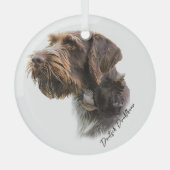 German Wirehaire Pointer Glas Ornament (Voorkant)