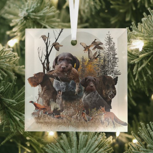 German Wirehaire Pointer Glas Ornament (Insitu)