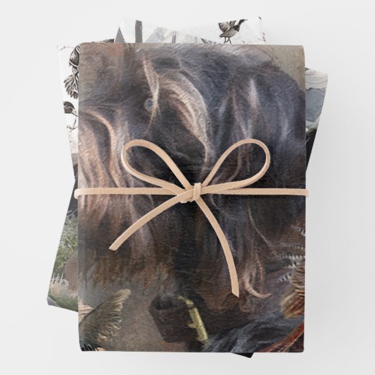 German Wirehaire Pointer Inpakpapier Vel (In situ)