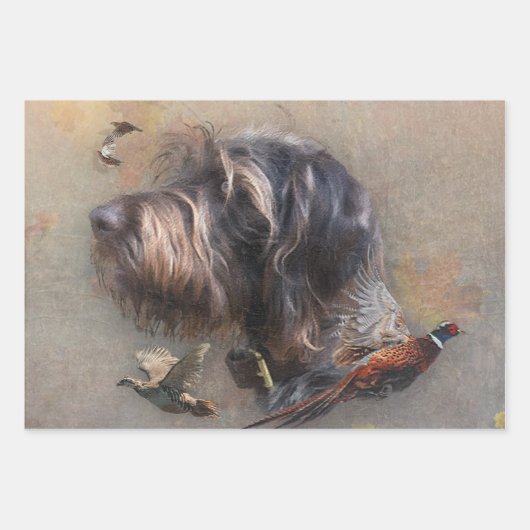 German Wirehaire Pointer Inpakpapier Vel (Voorkant)