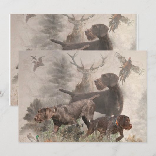 German Wirehaire Pointer Kaart (Voorkant / Achterkant)