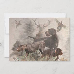 German Wirehaire Pointer Kaart