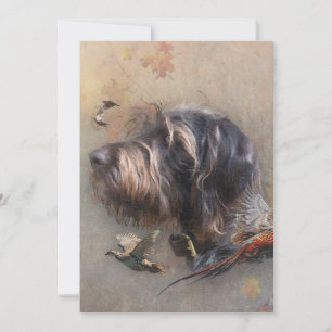 German Wirehaire Pointer Kaart