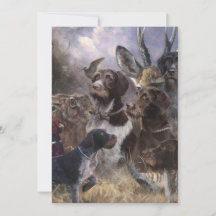 German Wirehaire Pointer