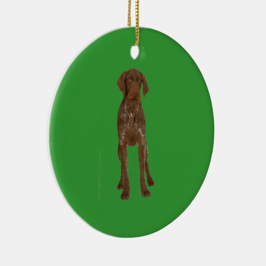 German Wirehaire Pointer Ornament (Rechts)