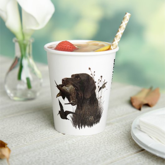 German Wirehaire Pointer Papieren Bekers (Insitu)