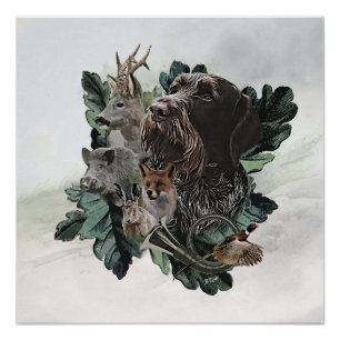 German Wirehaire Pointer Perfect Poster