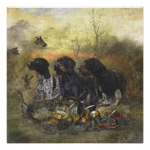German Wirehaire Pointer Perfect Poster (Voorkant)