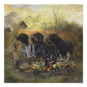 German Wirehaire Pointer Perfect Poster