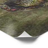 German Wirehaire Pointer Perfect Poster (Hoek)