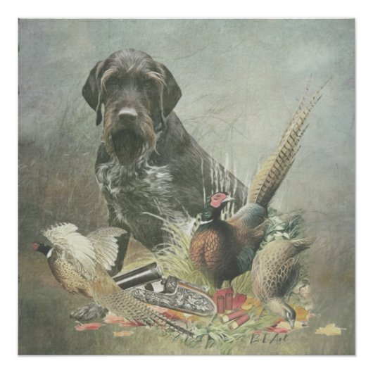 German Wirehaire Pointer Perfect Poster (Voorkant)